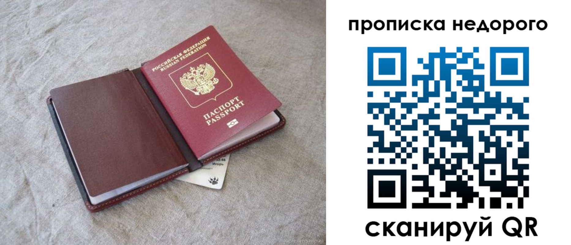 прописка 2025 в Зверево